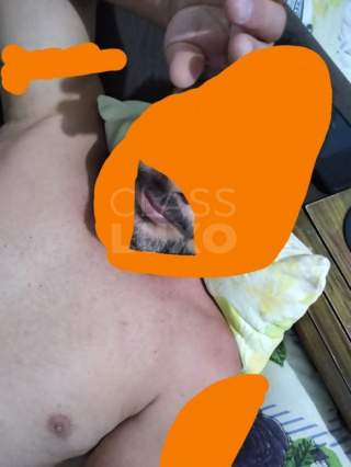 Acompanhante só para Mulheres