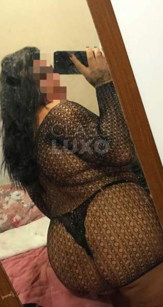 Gordelicia fogosa disponÍvel com local
