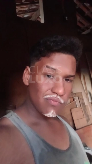 O novinho x17