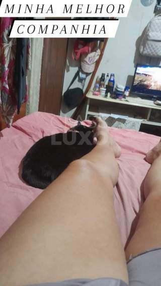 Sou uma gordinha sexyve safada
