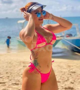 Vendas de pack das gatinha de goias